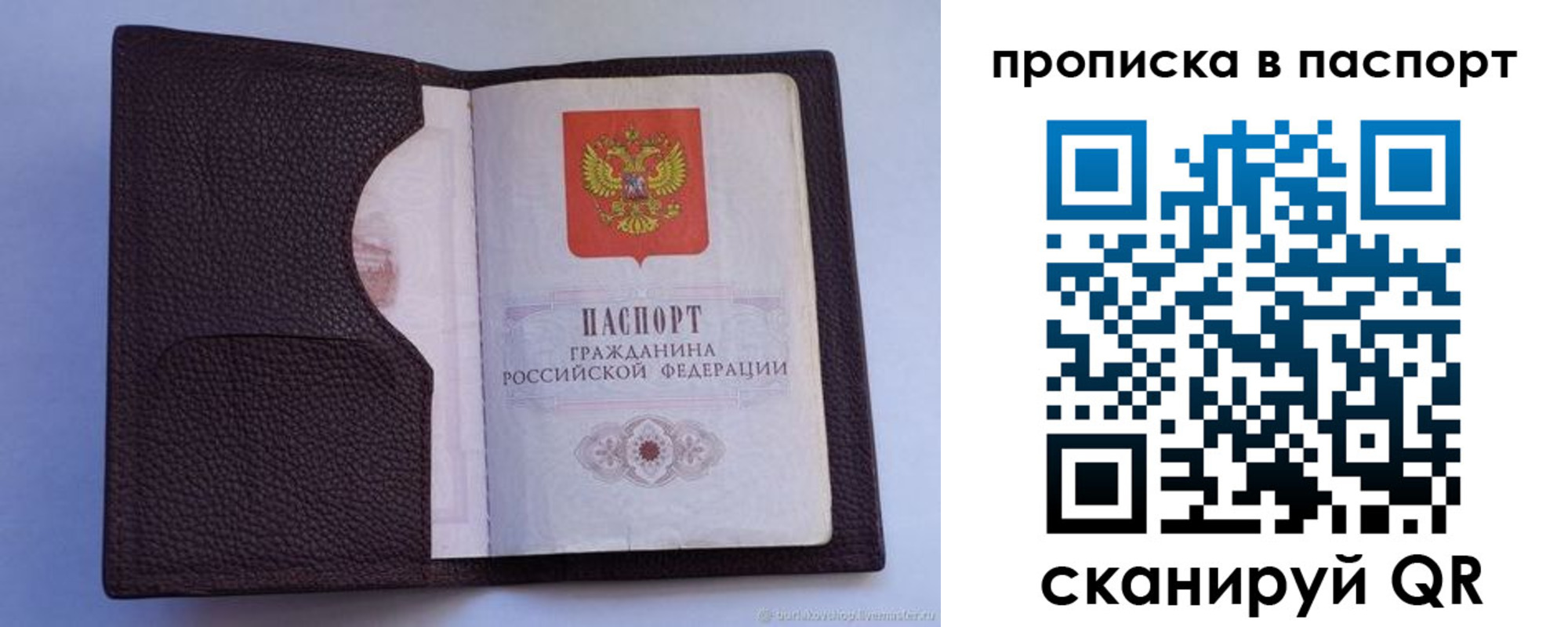 прописка законно в Сертолово